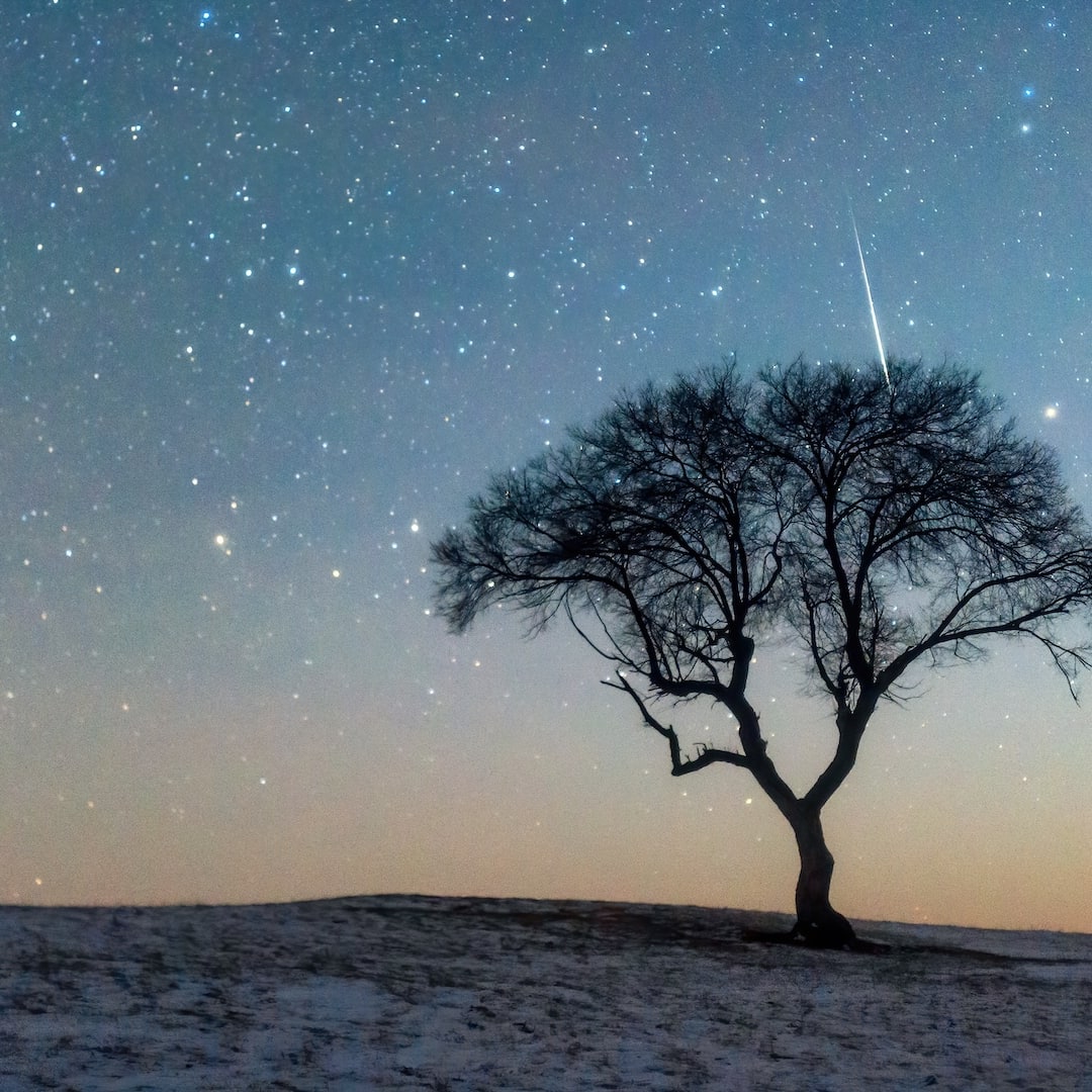 Nikmati Puncak Hujan Meteor Leonid 17 November dengan Langit Nyaris Gelap