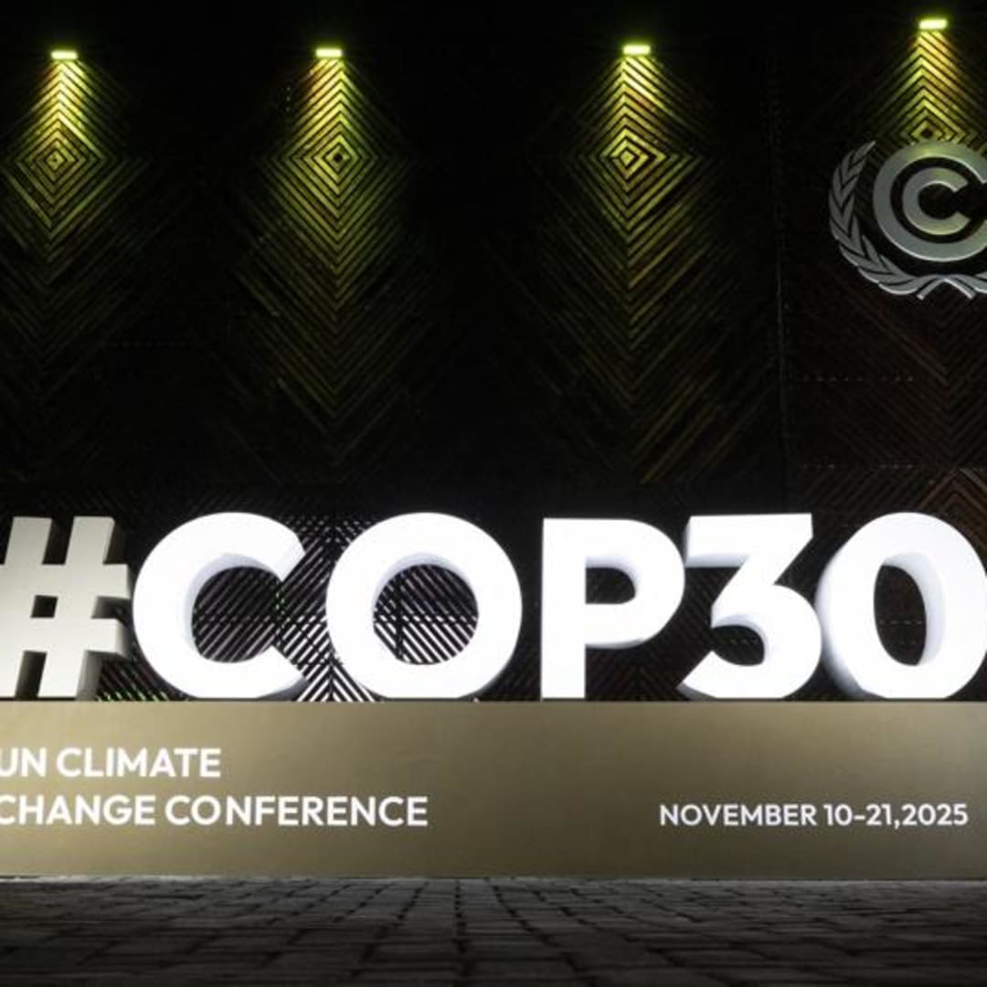 Premi Hijau Mati: Bagaimana China Mengubah Permainan Energi Bersih Global