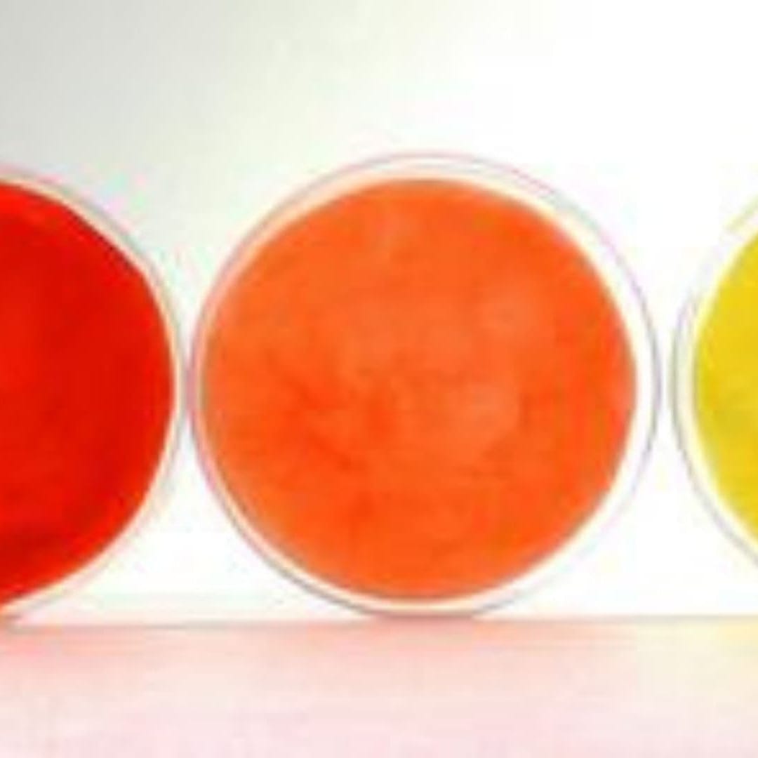 Teknologi Bakteri Baru: Cara Ramah Lingkungan Bikin dan Mewarnai Kain Sekaligus