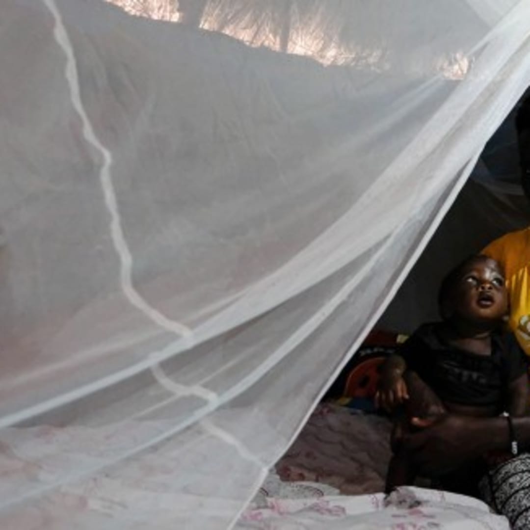 Obat Baru GanLum Tawarkan Harapan Lawan Resistensi Malaria di Afrika
