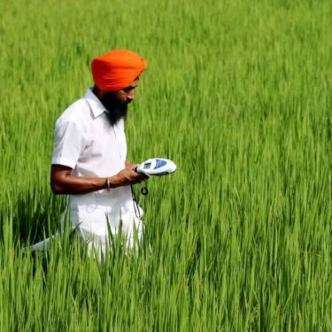 Mirova Investasi 30,5 Juta USD Dukung Pertanian Regeneratif Varaha di India