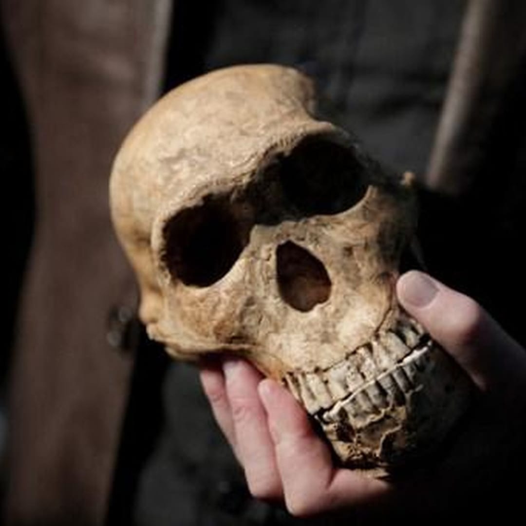 Pegunungan Zagros, Tempat Rekomendasi Perkawinan Silang Homo Sapiens dan Neanderthal