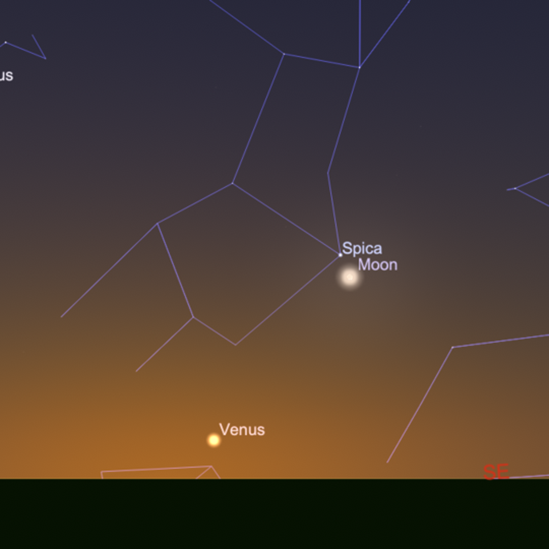 Panduan Lengkap Fenomena Langit Minggu Ini: Bulan, Meteor, Venus dan Saturnus