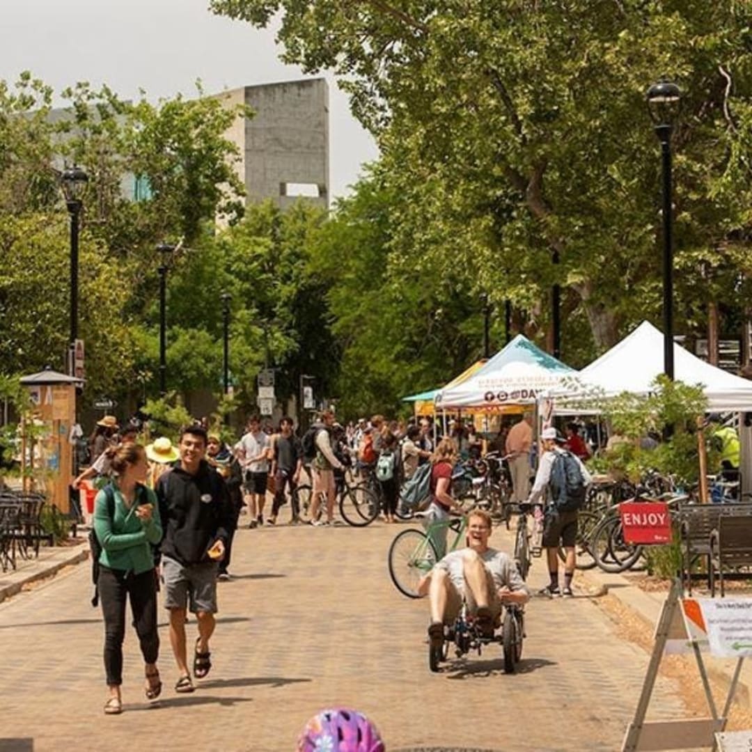 45 Kampus di AS Raih Penghargaan karena Dorong Budaya Bersepeda Sehat