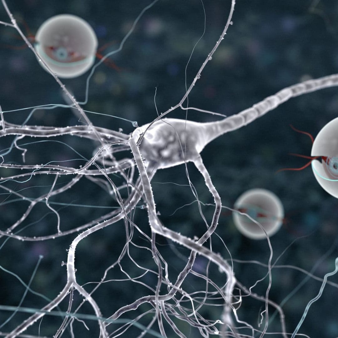 Nanorobot DNA Origami Otonom untuk Tugas Kompleks dan Aplikasi Medis