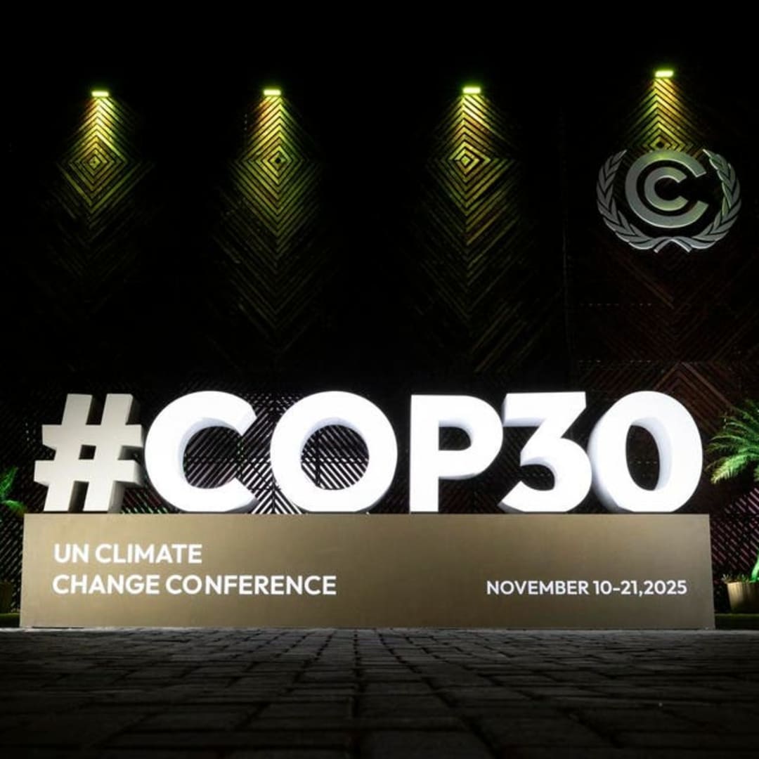 Menuju COP Ideal: Dari Janji Kosong ke Tindakan Nyata untuk Iklim