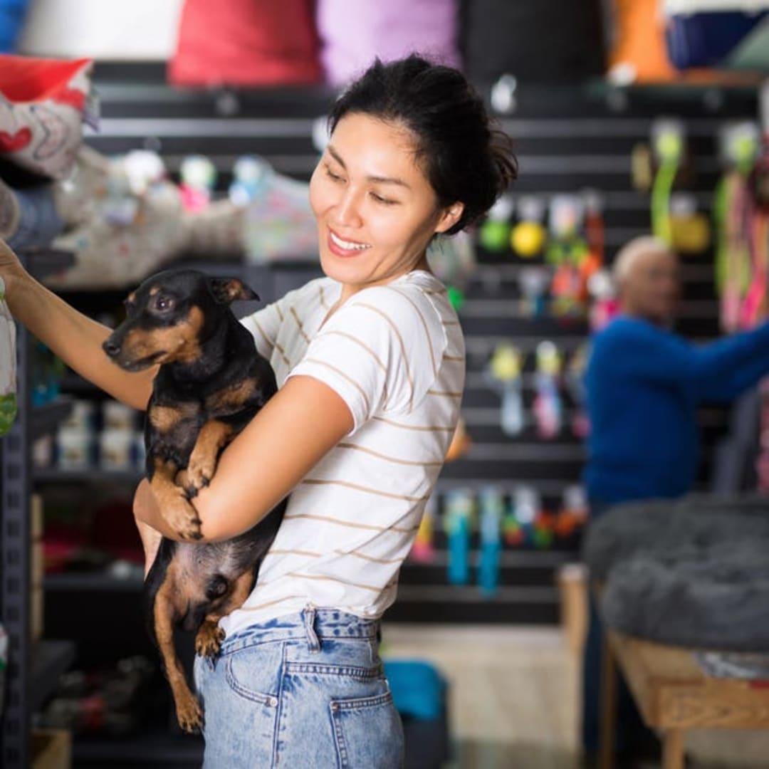 Compana Pet Brands Sukses Upgrade Cloud ERP untuk Dukung Pertumbuhan Berkelanjutan