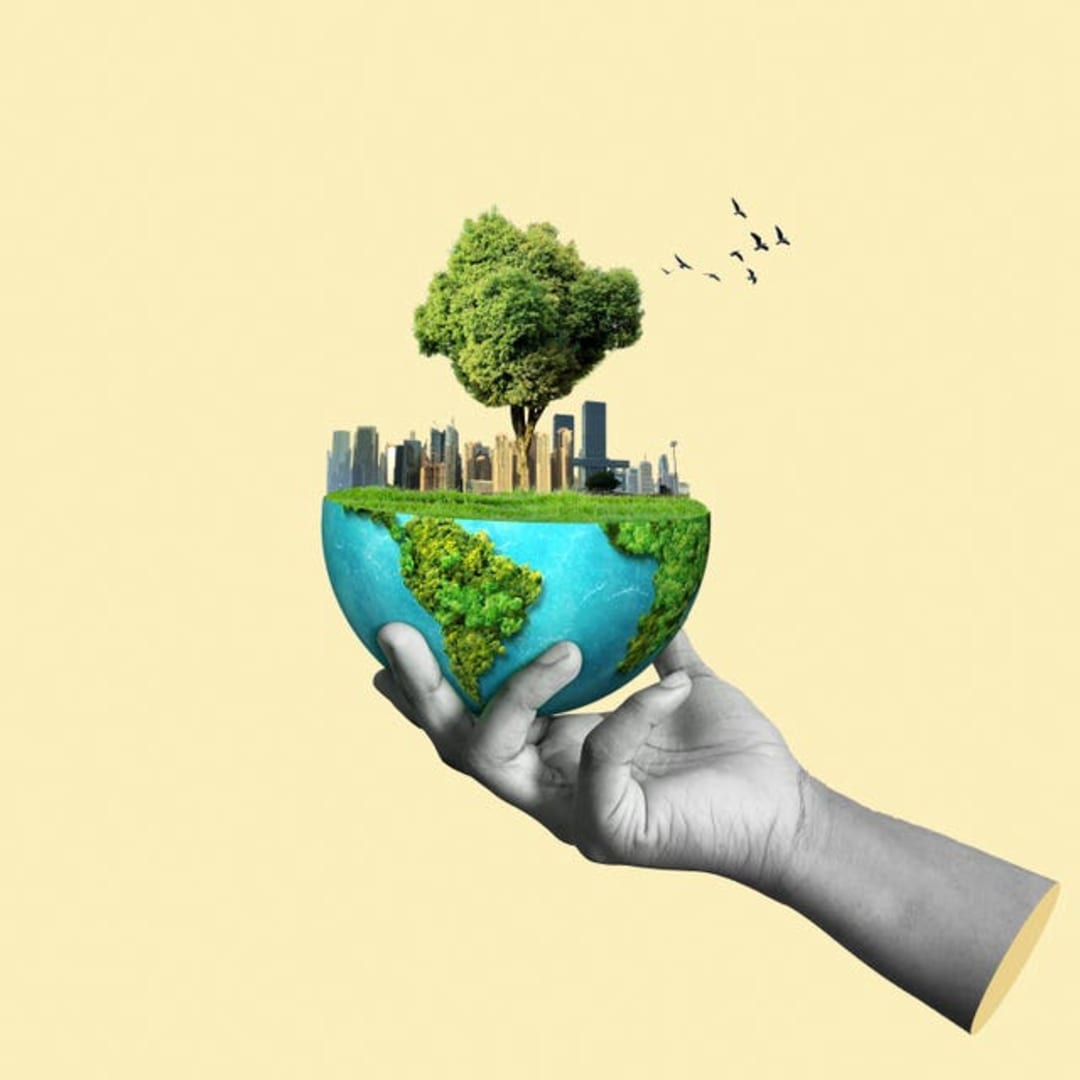 COP30 Belém: Dari Janji Kosong ke Aksi Nyata Selamatkan Planet