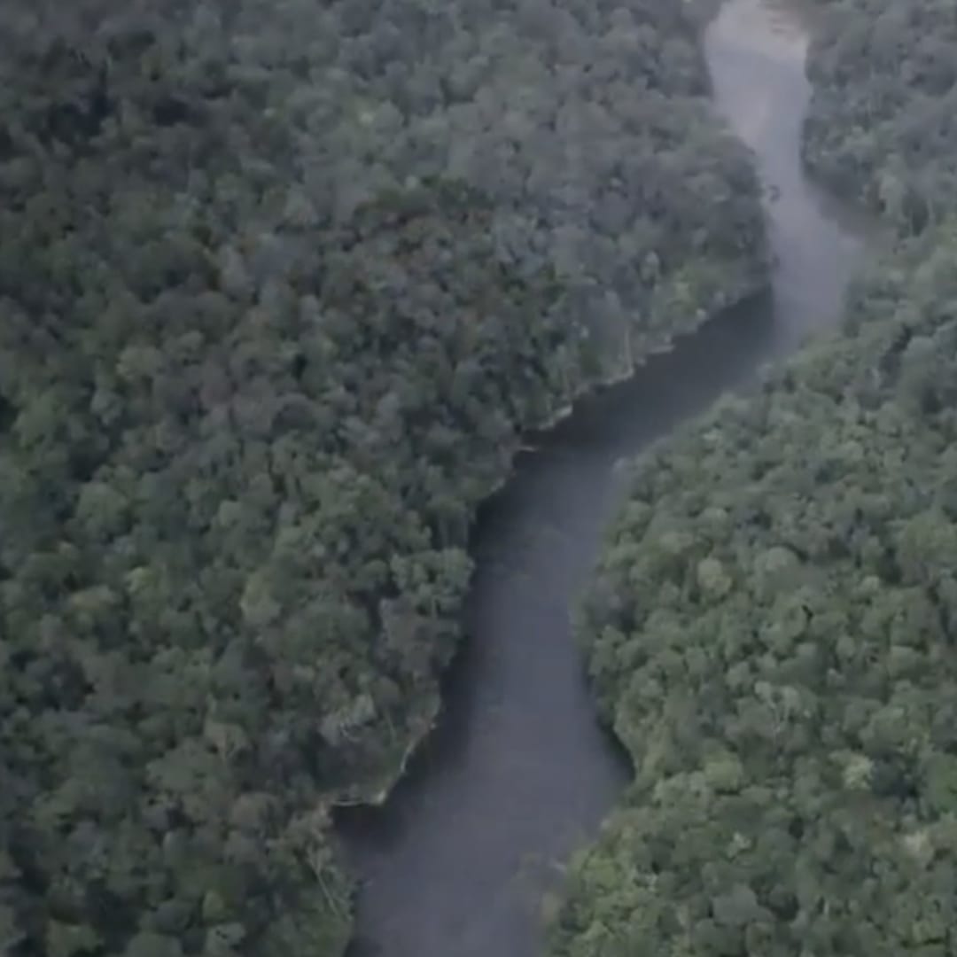 Tahun 2023 Jadi Terpanas dalam 2.000 Tahun, Perlunya Kurangi Emisi Gas Rumah Kaca