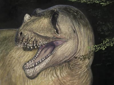 Penemuan Dinosaurus Baru dari Foto Fosil yang Hancur Saat Perang Dunia II