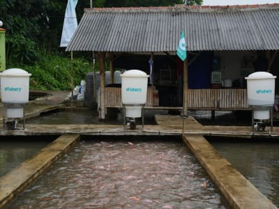 Skandal EFishery: Startup Indonesia Diduga Besar-Besarkan Pendapatan hingga Ratusan Juta Dollar