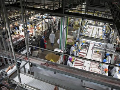 Smithfield Foods Siap IPO Senilai 940 Juta Dolar, Jadi Penawaran Terbesar di AS