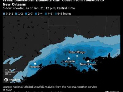 Badai Salju Langka di Gulf Coast Mengganggu Energi dan Transportasi AS