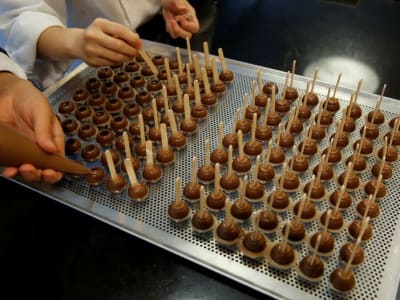 Barry Callebaut Laporkan Penurunan Penjualan Akibat Harga Kakao Rekor Tinggi