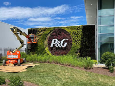 Penjualan Procter & Gamble Melonjak Berkat Produk Baru di Semua Harga