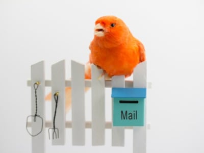 Postman Gabungkan AI Agen dengan Platform API untuk Pengembangan Mudah