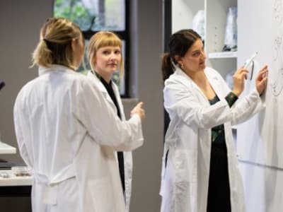 Variasi Global Kriteria Promosi Akademik dan Dampaknya pada Peneliti