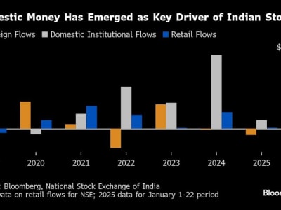 Investor Lokal Jadi Penopang Utama Pasar Saham India di Tengah Penjualan Asing