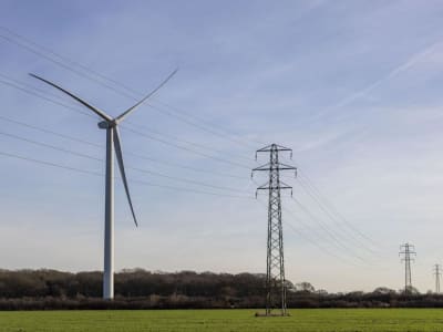 Bagaimana Calpers Hadapi Tantangan Kebijakan Trump untuk Mendukung Energi Hijau