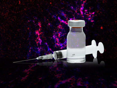 Vaksin Nanopartikel Baru Melindungi dari Berbagai Virus Korona yang Berubah-ubah