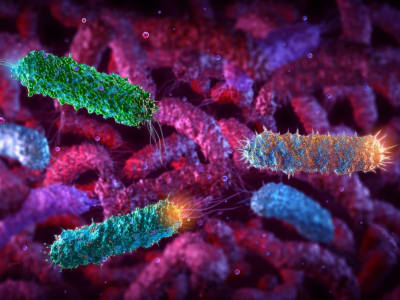 Rekayasa E coli untuk Fotosintesis: Inovasi Penghasil Bahan Ramah Lingkungan