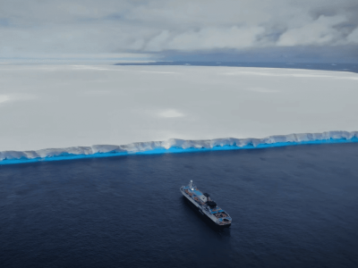 Aisberg Raksasa A23a Mendekati South Georgia, Ancaman bagi Penguin Raja