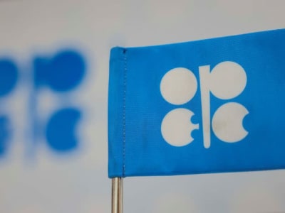 OPEC+ Tetap Bayar Harga Minyak, Meski Trump Minta Turunkan Harga