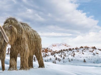 Colossal Biosciences: Menghidupkan Kembali Hewan Punah untuk Lawan Perubahan Iklim
