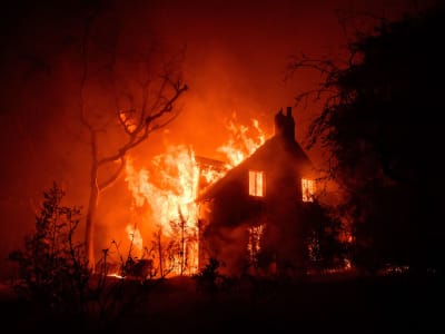 Reformasi Asuransi California Hadapi Krisis Kebakaran Hutan yang Makin Parah