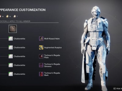 Kontroversi Shader Chatterwhite di Destiny 2 Jadi Cermin Nostalgia Pemain