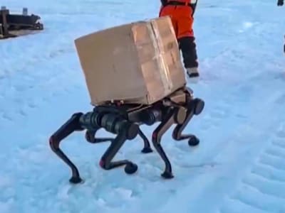 Robot Anjing Berkaki Enam Uji Tugas Berat di Suhu Ekstrem Antartika