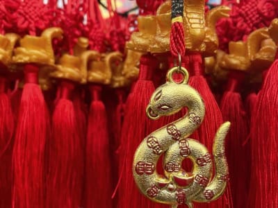 Tahun Ular dan Era AI: Adaptasi dan Fokus Kunci Kesuksesan Bisnis 2025