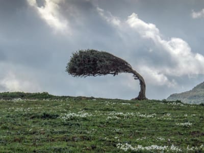 Mengapa Kepemimpinan adalah Kunci Ketahanan Siber Organisasi Masa Kini