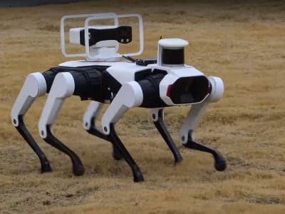 Robot Anjing Berkaki Enam Tangguh Tahan Dingin Antartika Bawa Beban Berat