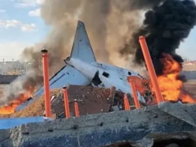 Investigasi Kecelakaan Jeju Air: Peran Burung dan Struktur Bandara dalam Tragedi Terbesar Korea Selatan