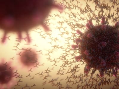 Pelajaran Penting Kekebalan Tubuh dari Pandemi COVID-19 Selama Lima Tahun