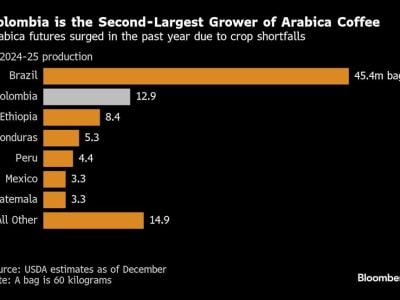 Kenaikan Harga Kopi Arabika karena Ancaman Tarif AS terhadap Kolombia dan Pasokan Global yang Ketat