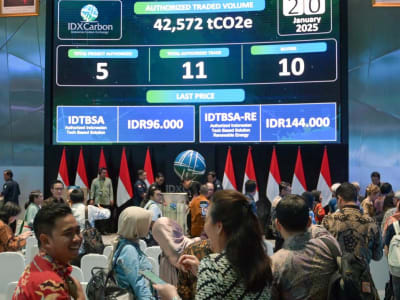 Peraturan Baru PBB Dorong Pasar Karbon Global Lebih Kredibel dan Efektif
