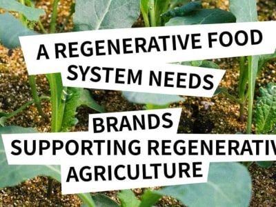 ReGen Brands: Membangun Ekosistem untuk Memperkuat Merek Pertanian Regeneratif
