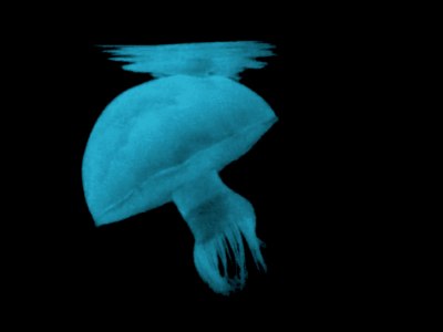 Robot Modular Terinspirasi Alam dengan Energi Terwujud untuk Gerak Lebih Lama