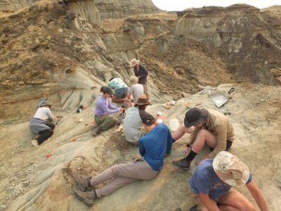 Fosil Bukti Serangan Buaya pada Pterosaurus Raksasa di Alberta