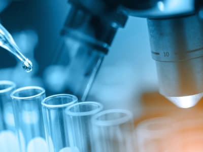 Teknologi Inovatif Ohio State Mengubah Limbah Jadi Bahan Bakar Ramah Lingkungan