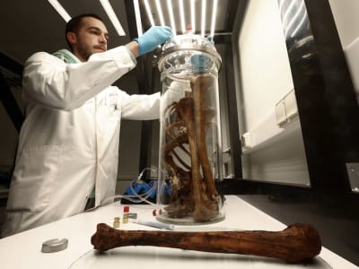 Bau Tulang Kering: Inovasi Parfum Pelacak Jenazah Untuk Anjing Polisi Belgia