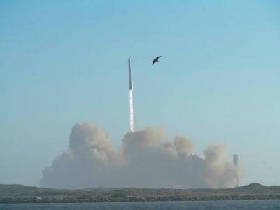 Ledakan Roket Starship SpaceX Guncang Kepulauan Turks dan Caicos, FAA Selidiki