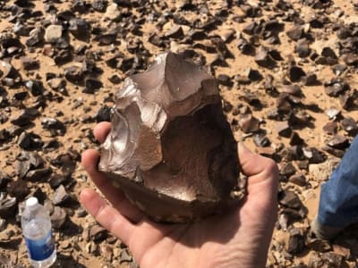 Penemuan Ribuan Alat Batu Purba di Gurun Irak Buka Tabir Sejarah Manusia