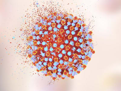 Terobosan Obat Murah Hepatitis C Capai Tingkat Kesembuhan 97 Persen