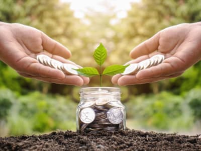 5 Peluang Usaha Berkelanjutan yang Menguntungkan dan Ramah Lingkungan