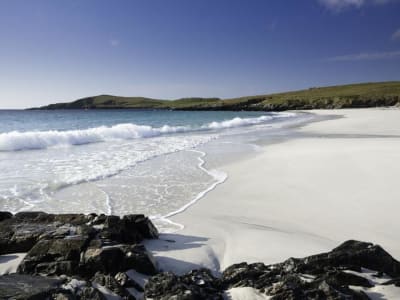 Putusan Hukum Batalkan Proyek Minyak Rosebank Karena Dampak Iklim