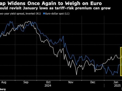Perbedaan Kebijakan Moneter Dorong Euro Melemah Bisa Capai Paritas dengan Dolar