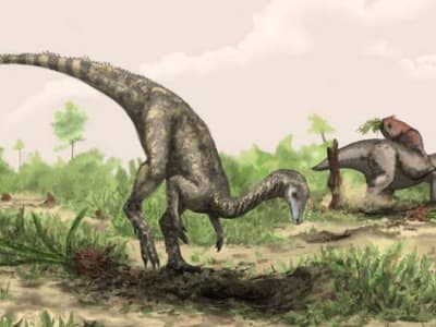Misteri Asal-Usul Dinosaurus: Fosil Terpencil di Garis Khatulistiwa